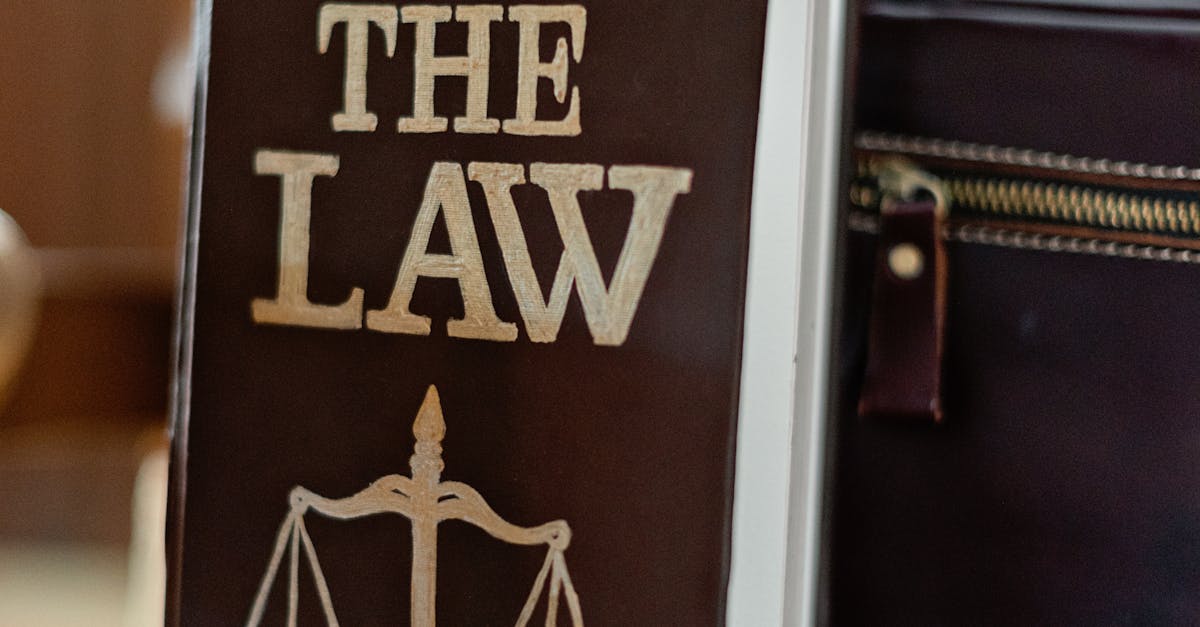 How an Immigration Lawyer Can Strengthen Your Appeal